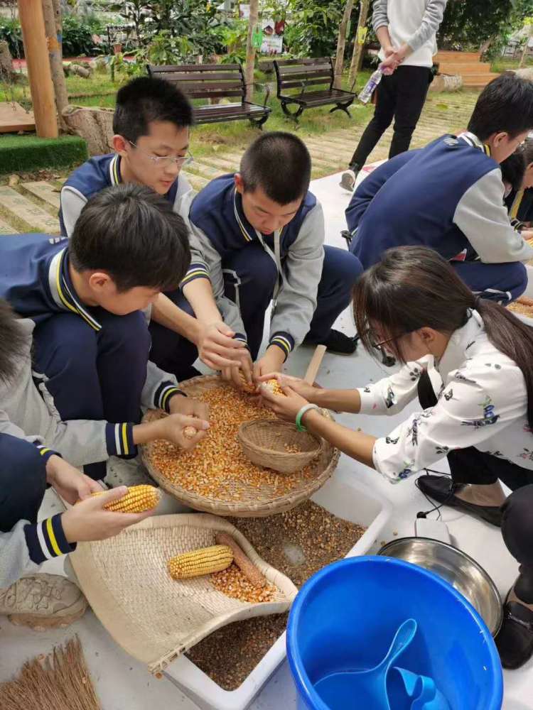 山东烟台小学生实践基地小学生中学生研学基地自然教育