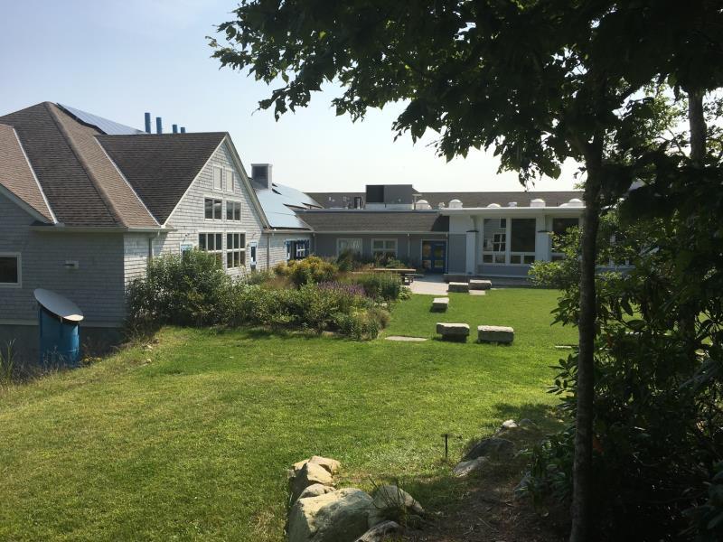 德克萨斯大学达排名%_全美国际生录取率最高大学!这三所录取率竟达99%!