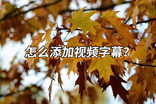 怎么给视频加字幕手机_字幕视频加手机铃声_字幕视频加手机壁纸软件