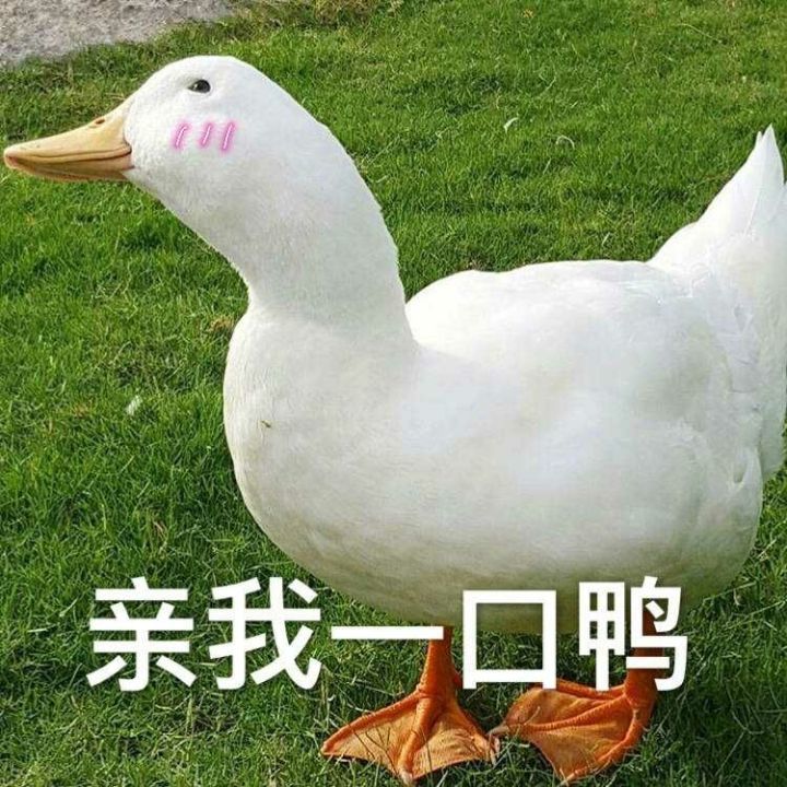 让你忍不住打节拍的rap文案
