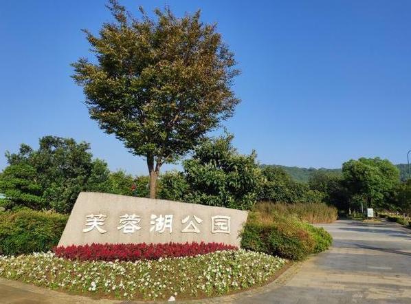 一起来盘点一下吧|如意|徐霞客镇|云亭街道|秀湖公园|江阴市|公园