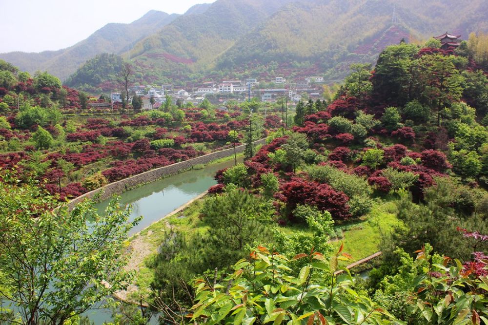 山环水绕北溪村红枫红翻天住在诗画里