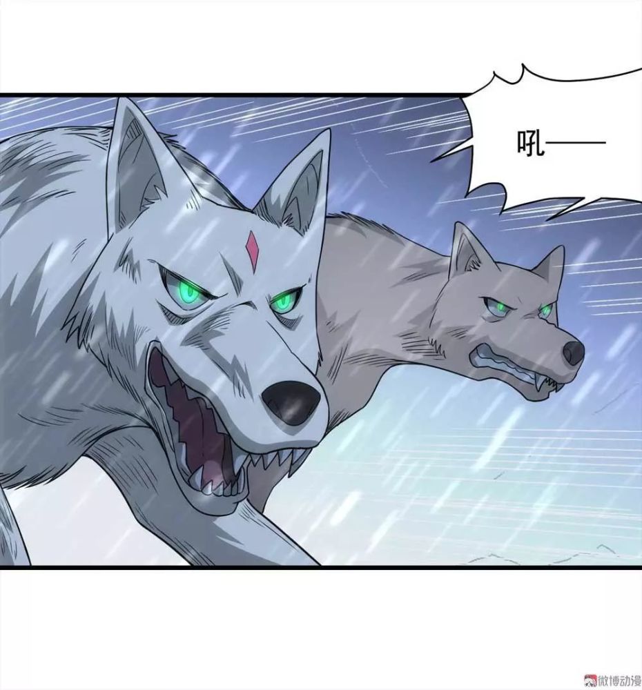 超虐心漫画托狐悲情母子被狼群围攻