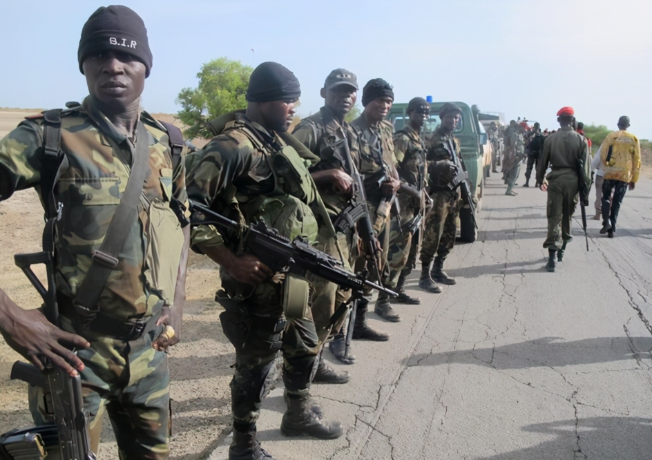 背后有大国指点尼日利亚军队使用新战术捷报闻名整个非洲