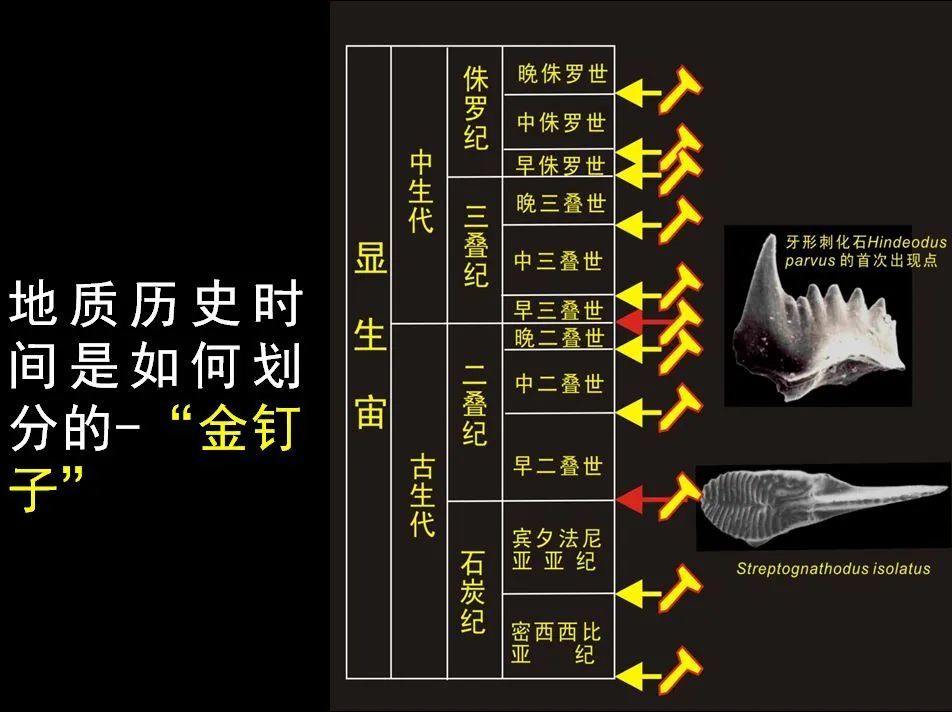 一曲中国气派的考古战歌 报告文学《面壁百年——寻找"金钉子"的中国