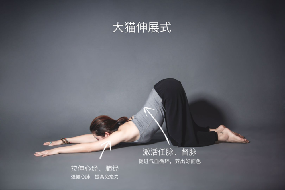 大猫伸展式:通过激活任督二脉,加速血液循环,纤细美体,养出好气色.