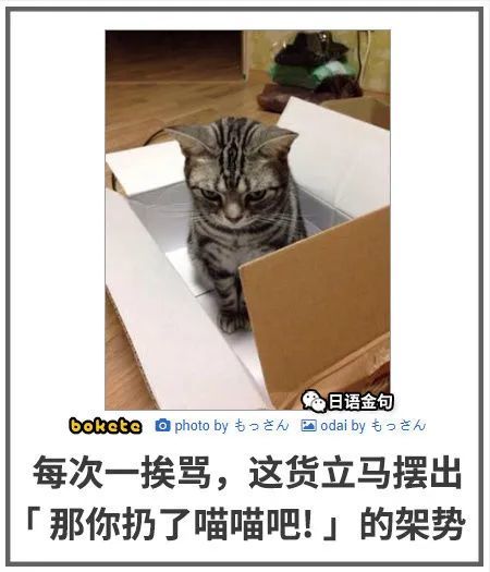 每日吐槽no 121 猫吃糖被粘牙了 然后变成了一只仓鼠