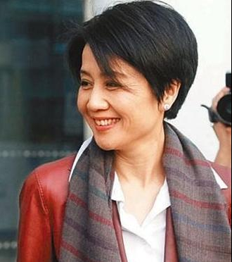 但在外界的眼里,赌王最宠爱的还是梁安琪,只有梁安琪明白,在郑咏诗