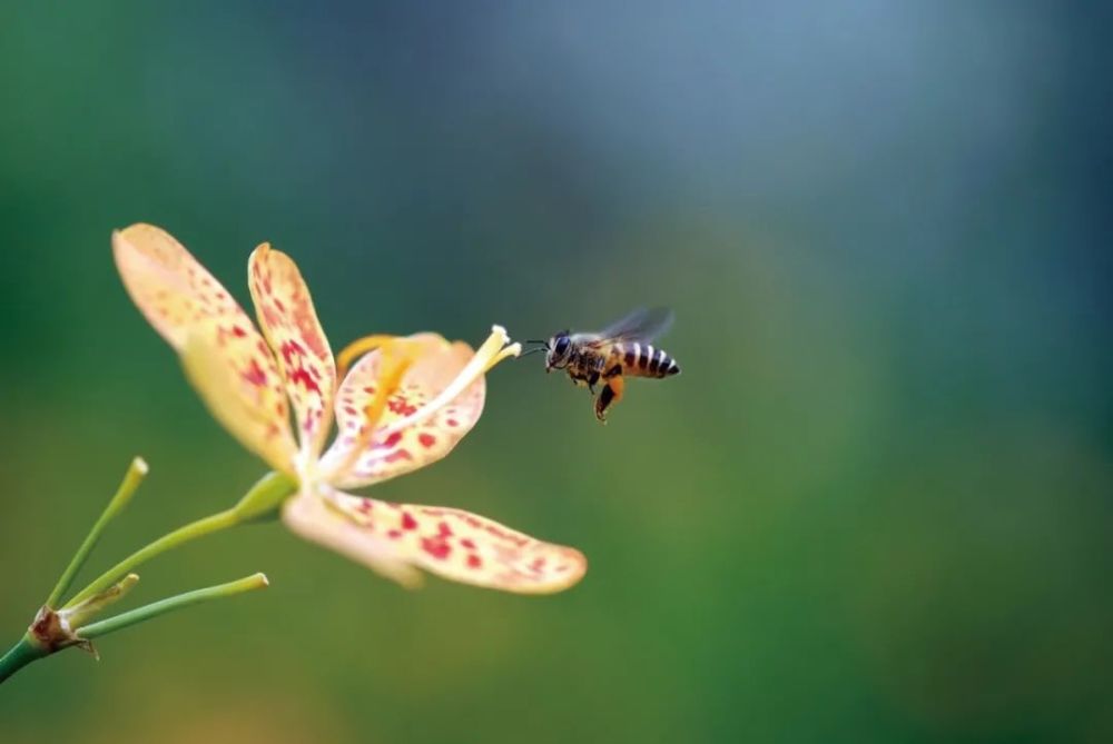 构图的加减法连零基础小白也能灵活运用