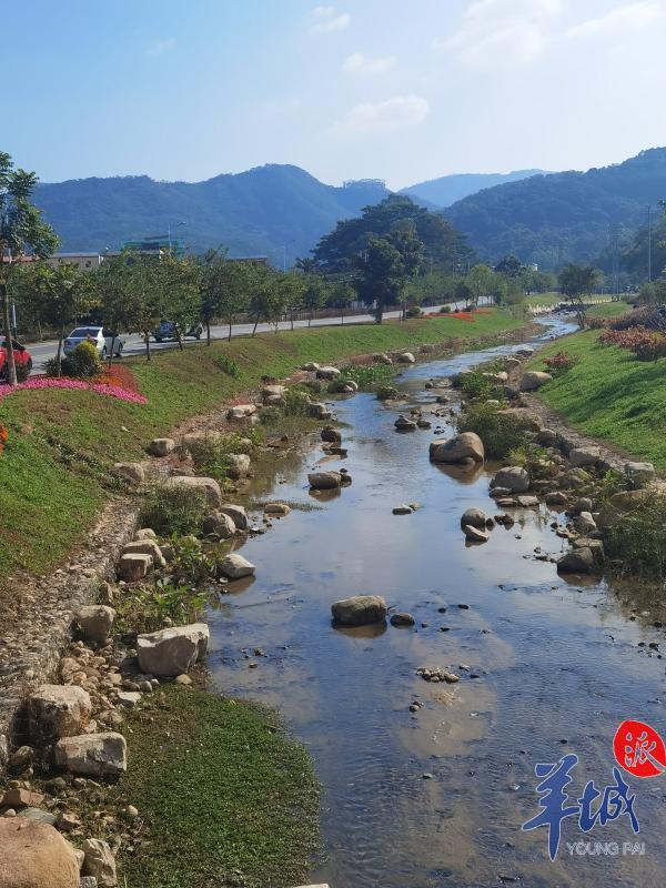 农旅融合打造广州"网红村",来增城小楼镇邓山村看星星吧!