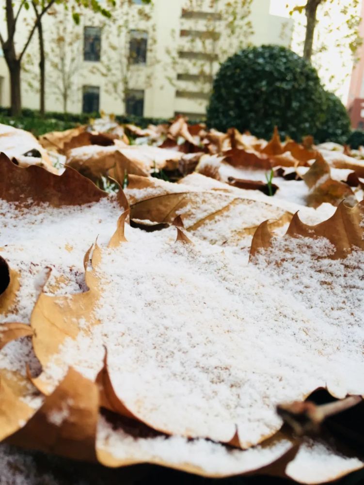 小雪如约而至晴冷持续注意保暖