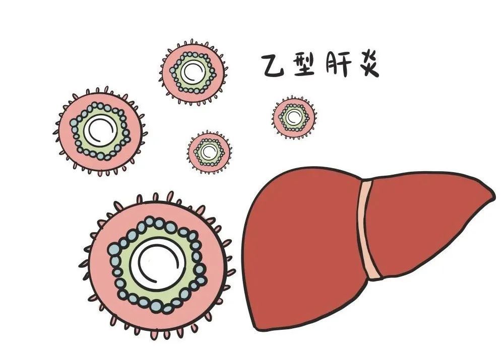 科普慢性乙肝自然恢复的三种可能
