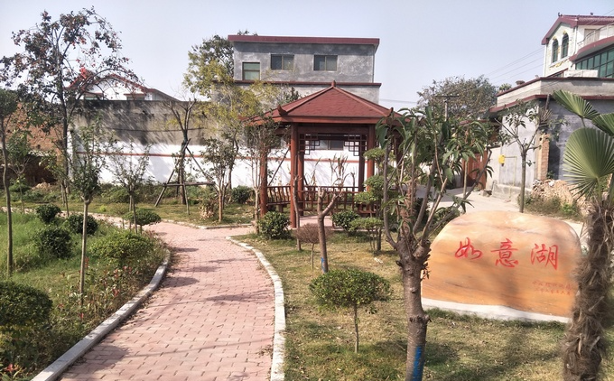 沈丘莲池镇这个村厉害了全面打好四场战役提升乡村颜值棒棒哒