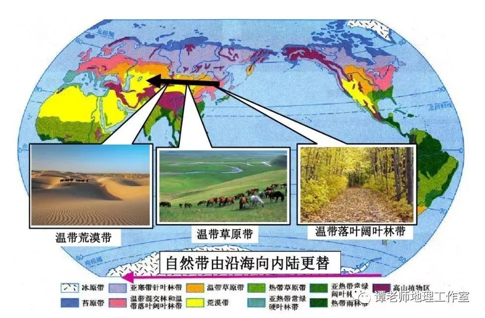 表现1:植被变化又叫经度地带性,形成原因是由于水分的变化,受到海陆