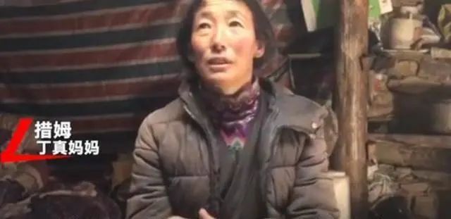 丁真的愿望是看完网友寄的书-WordPress极简博客