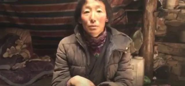 丁真的愿望是看完网友寄的书-WordPress极简博客