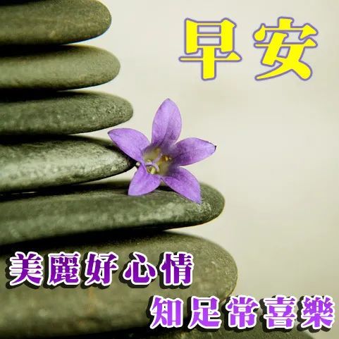 早上好圖片問候語 早上好祝福語