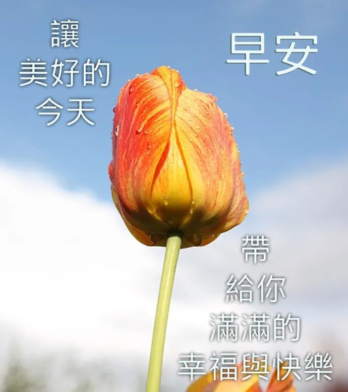 早上好朋友特别漂亮早安问候语图片带字温馨漂亮早上好动态美图