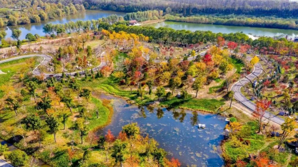 决战过万亿从无人孤岛到旅游景区通州开沙岛80年美丽蜕变