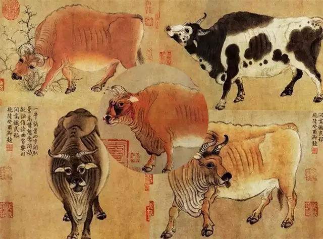 的,而是从一个香港商人手中捡漏的,而这幅古画就是著名的《五牛图》