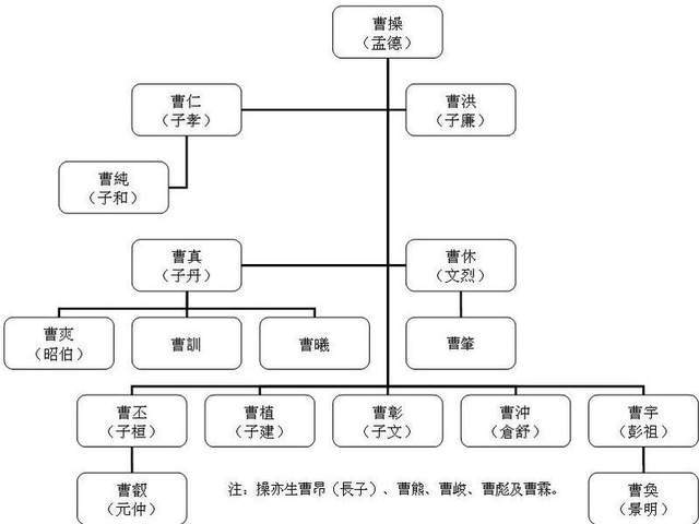 曹操曹仁曹純曹洪曹休曹真曹爽曹彰,是什麼關係,曹操最信任誰