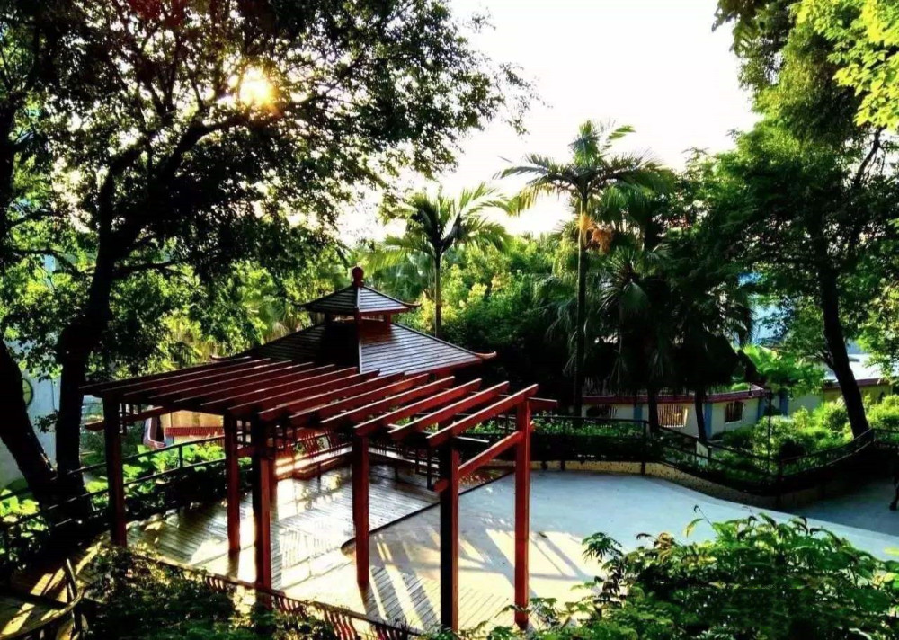 广州小学排行榜_「2021幼升小」广州最佳公办小学排行榜