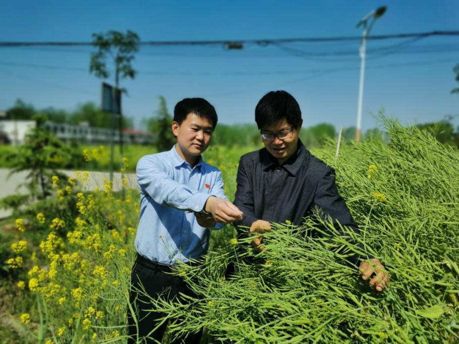 初心之路90后第一书记程东我的使命是让村子活起来