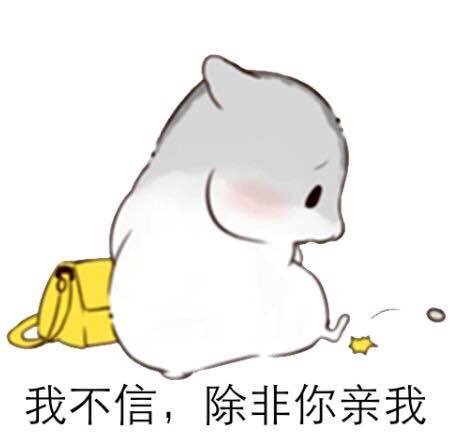 仓鼠表情包我不信除非你亲我