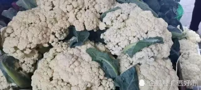 农业养生丨富含b族维生素的花椰菜 蔬菜 养生 B族维生素 菜花