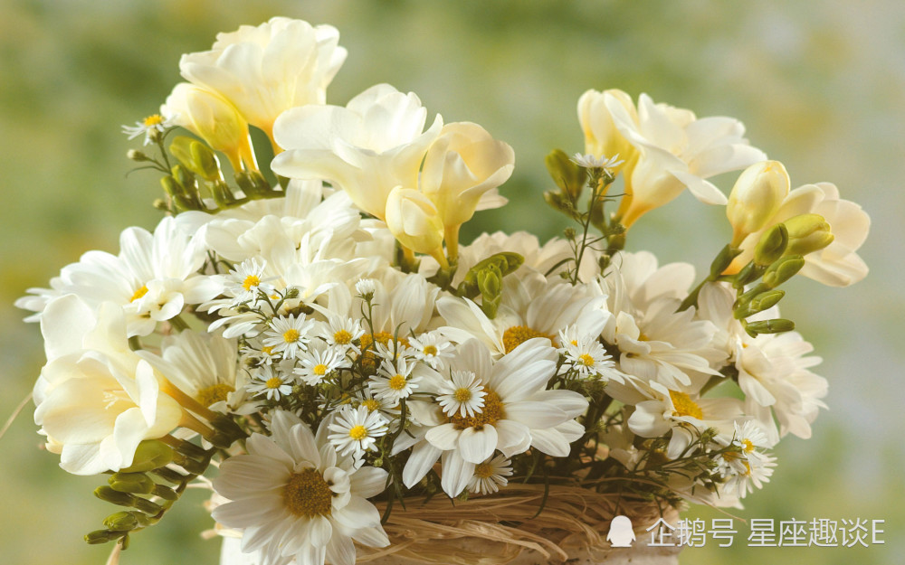 12月4日星座运势 以身作则 严于律己的四大星座 腾讯新闻