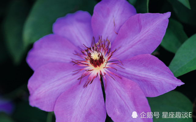 12月4日星座运势 巨蟹脚踏实地 天蝎积极主动 摩羯迎接挑战 星座运势 摩羯座 巨蟹座 天蝎座