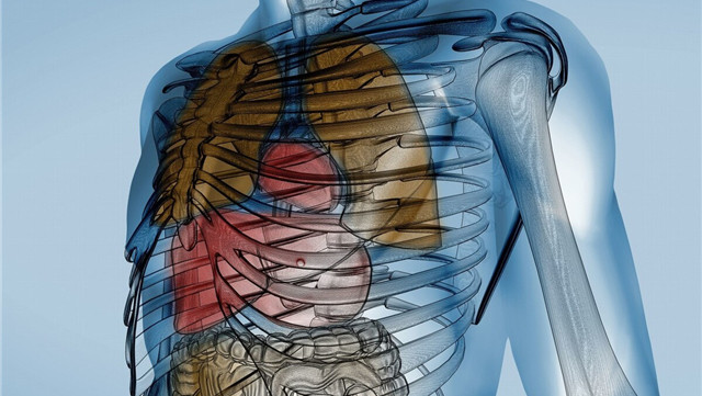 12个冷知识可以使人感到有趣但却没有地方能够使用的奇怪知识