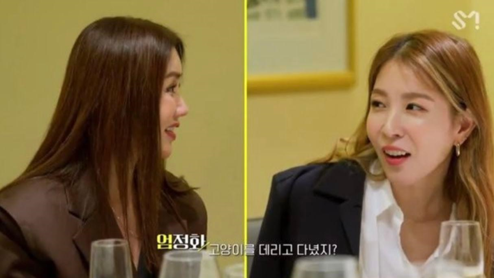 Boa出道时身边总会带只猫 真实原因太搞笑 网友 神秘到底 腾讯新闻