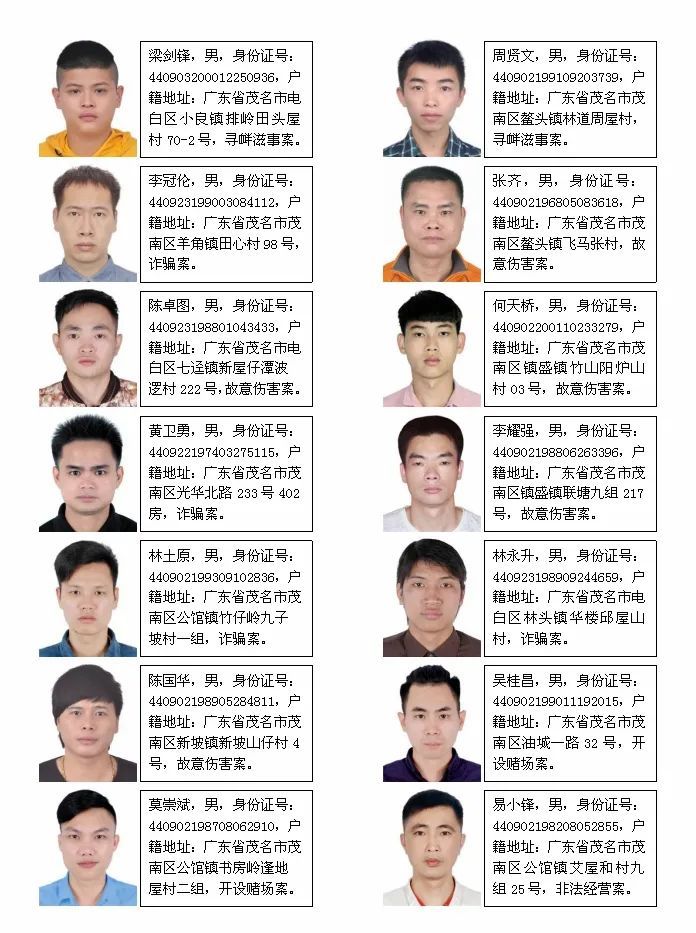 茂名以下人员被警方通缉,请速速投案自首!