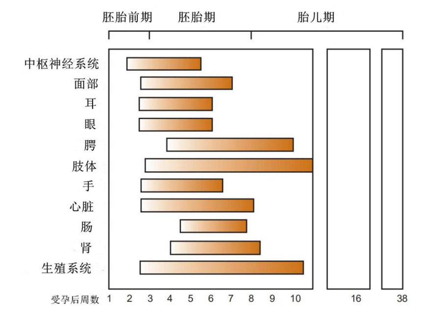 孕期用药黑名单 必读 腾讯新闻