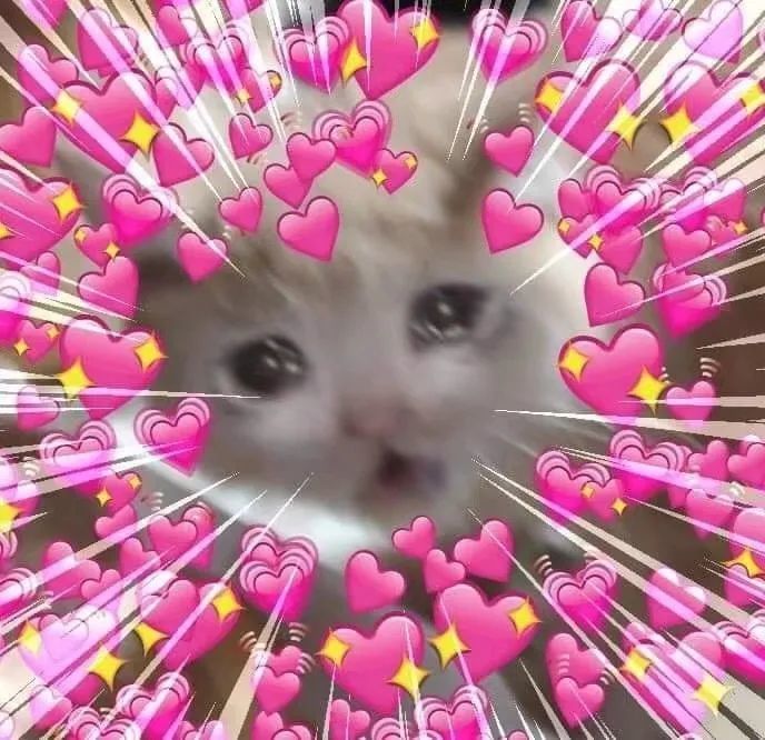 猫猫的爱心魔法