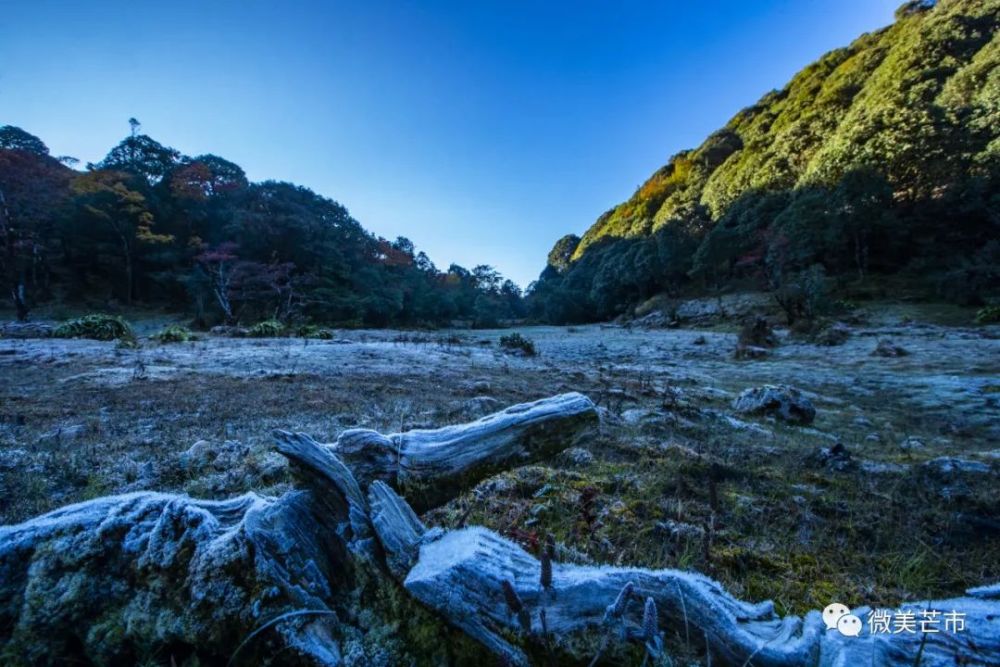 风情芒市丨七彩的苤菜坝最贴近童话世界的地方