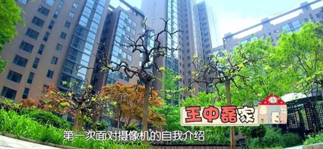 围观王中磊现实的豪宅庭院面积超大酒柜摆了十几层的红酒