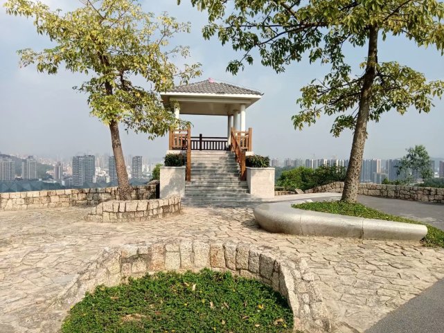 深圳最大以体育为主题的生态公园大运公园