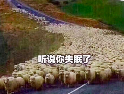 翻来覆去睡不着,从头数绵羊! 1 2 3 …… 2999 然后,你你你…好像失!