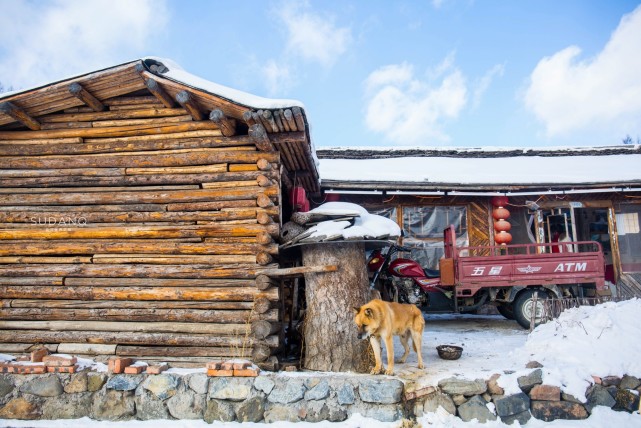 雪乡不是东北唯一的网红村落还有它堪称中国最后一个木屋村落