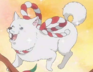 从地狱三头犬到有趣的 多头 文化 腾讯新闻