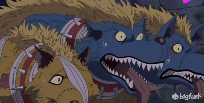 从地狱三头犬到有趣的 多头 文化 腾讯新闻