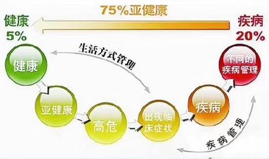 照顾好肠道 好朋友 轻松摆脱亚健康 腾讯新闻