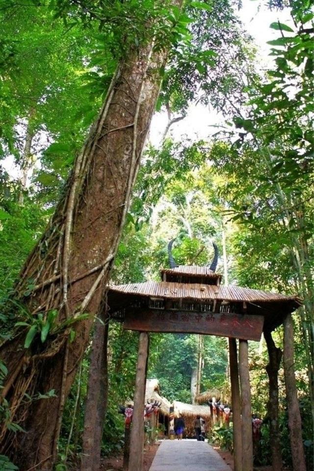 西双版纳的克木人:男人不能下地只能住树屋,靠一根竹竿繁衍后代_腾讯