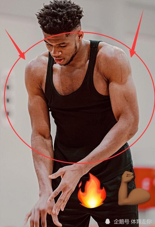 有种恐怖叫字母哥肌肉进化最新训练照流出这谁拦得住