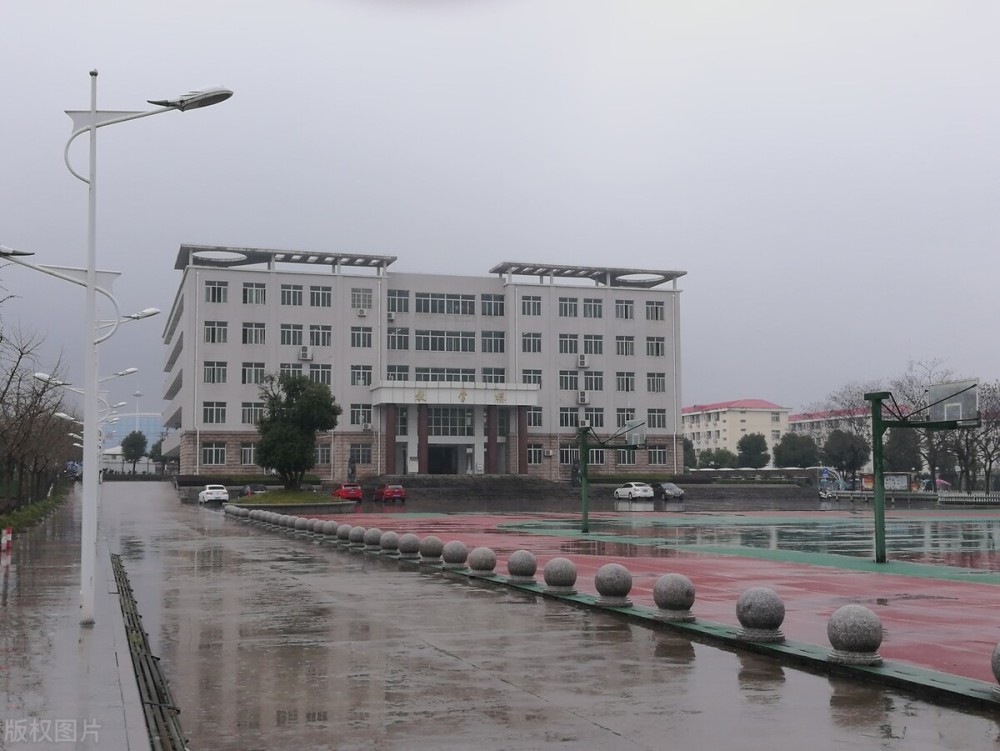 重庆市重点小学排名_作为重庆这几年重点开发的地区,又一所公立小学迈(2)
