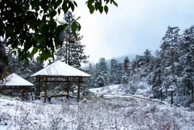 重庆彭水一景区迎来入冬第一场雪,游客:冰雪世界美轮美奂