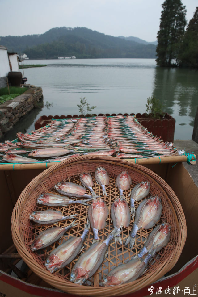 浙江宁波:晾晒鱼鲞,湖畔人家冬天的味道
