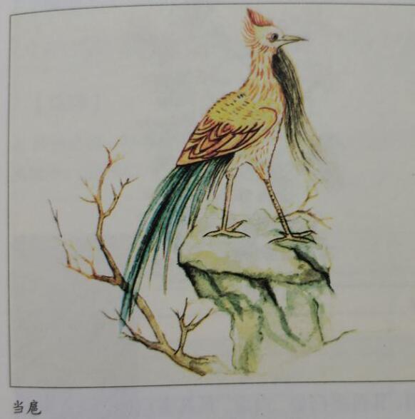 郭璞《图赞》曰:"鸟飞以翼,当扈则须.废多任少,沛然有余.